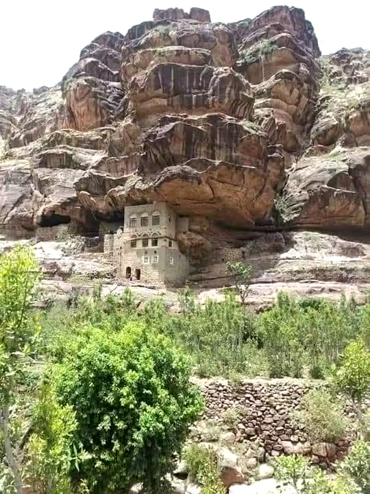 صورة ١
